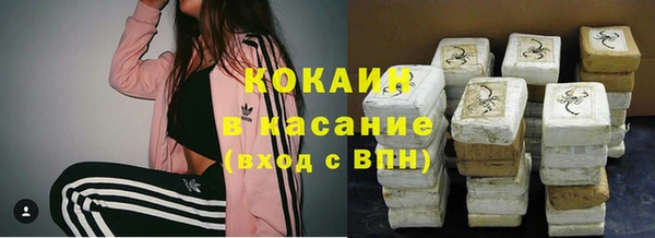 крисы Аркадак