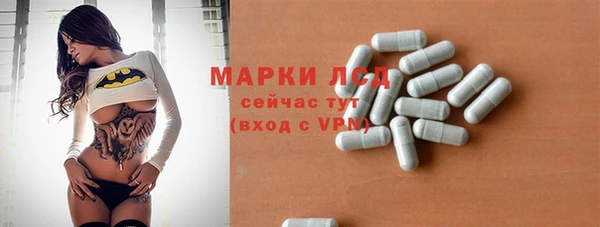 крисы Аркадак