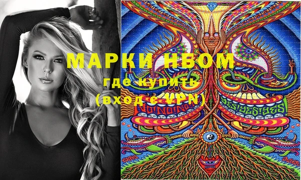крисы Аркадак