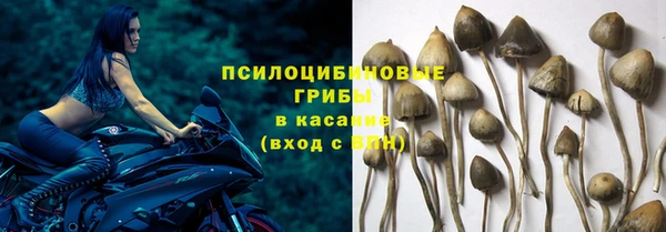 бутират Арсеньев