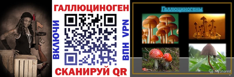 Псилоцибиновые грибы MAGIC MUSHROOMS  купить закладку  Серафимович 